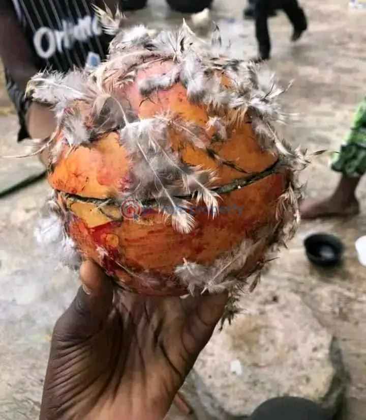 The best powerful spiritual herberlist man in Nigeria image - Mobiarket