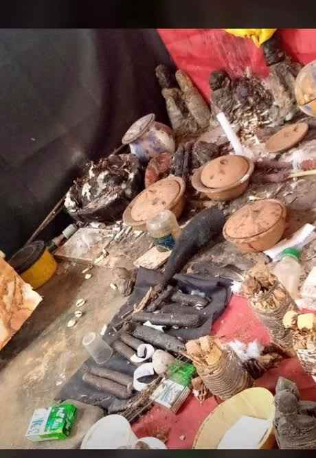 The best powerful spiritual herberlist man in Nigeria image - mobimarket