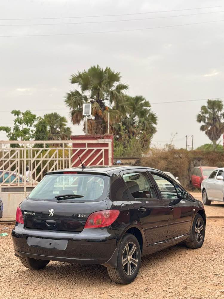 PEUGEOT 307 image - mobimarket